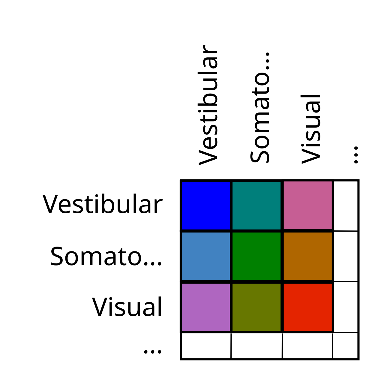 The cerebellum is organized like an outer product, representing many different combinations of sensory signals, including motor efferents.