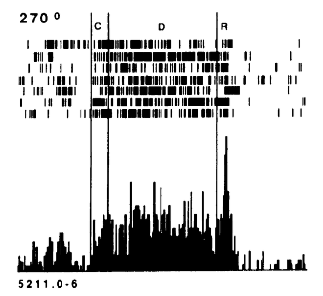 The peristimulus time histogram (PSTH) plot like this one from Funahashi et al, 1988 is a widely used way of plotting neural firing data, with the top portion showing individual neural spikes as a “raster” plot, with each row being a separate trial, with important experimental time points indicated with vertical lines. The bottom portion shows a histogram, often of a larger pool of data than is shown in the raster plot, with the bar height showing the relative frequency of firing within the corresponding time bin. This plot shows a PFC neuron repsonding to a cue at time C, which is maintained over the delay period D, and firing abrubly terminates right after the onset of the response R.
