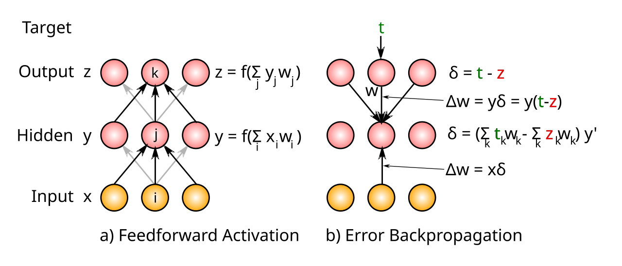 Illustration of backpropgation computation in three-layer network. First, the feedforward activation pass generates a pattern of activations across the units in the network, cascading from input, to hidden to output. Then, δ (delta) values are propagated backward in the reverse direction across the same weights. The delta sum is broken out in the hidden layer to facilitate comparison with the GeneRec algorithm, and the learning rate factor is omitted for simplicity.