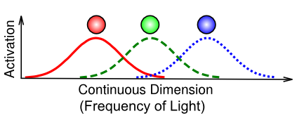 Coarse coding, which is an instance of a distributed representation with neurons that respond in a graded fashion. This example is based on the coding of color in the eye, which uses only 3 different photoreceptors tuned to different frequencies of light (red, green blue) to cover the entire visible spectrum. This is a very efficient representation compared to having many more receptors tuned more narrowly and discretely to different frequencies along the spectrum.