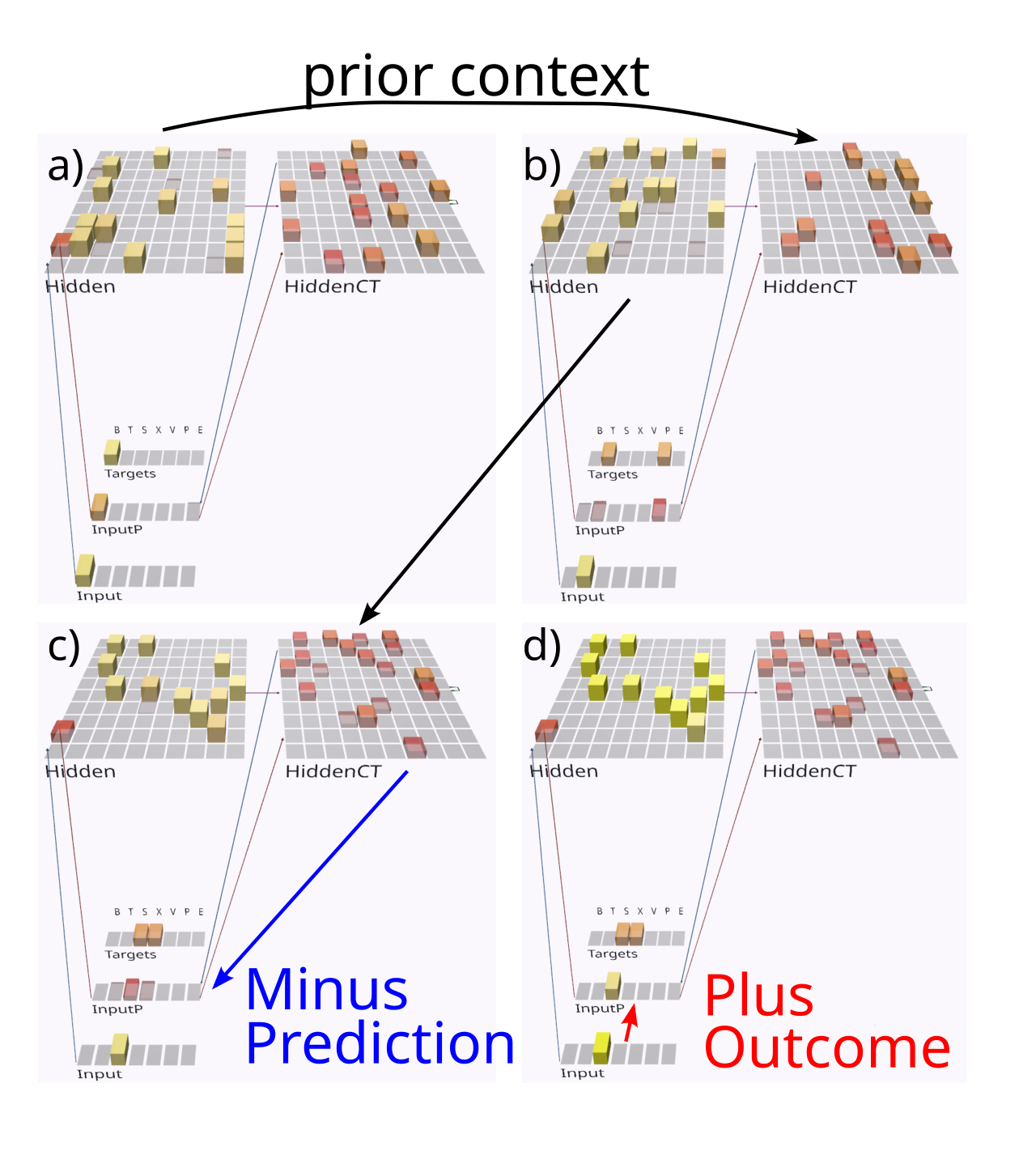 Predictive learning model applied to the FSA grammar shown in previous figure, showing the prediction state (end of the minus phase) for the first 3 steps of a sequence, after having learned the grammar, followed by the plus phase after the third step. The Input layer provides the 5IB drivers for the corresponding InputP pulvinar layer, and the Targets layer is purely for display, showing the two valid possible labels that could have been predicted. The model’s prediction is scored as accurate if either or both targets are activated. The HiddenCT layer drives the prediction over the pulvinar, and it receives input from the Hidden layer (superficial lamina 2-3 neurons) that reflect the previous time step’s activation state. Thus, even though the correct answer is always present on the Input layer for each step, the CT layer is nevertheless attempting to predict this Input based on the information from the prior time step. a) In the first step, the B label is unambiguous and easily predicted (based on prior E context). b) In the 2nd step, the network correctly guesses that the T label will come next, but there is a faint activation of the other P alternative, which is also activated sometimes based on prior learning history and associated minor weight tweaks. c) In the 3rd step, both S and X are equally predicted. d) In the plus phase for this trial, only the X present in the Input drives HiddenP activations, and the pathways from pulvinar back to the cortex convey both the minus-phase prediction and plus-phase actual input.