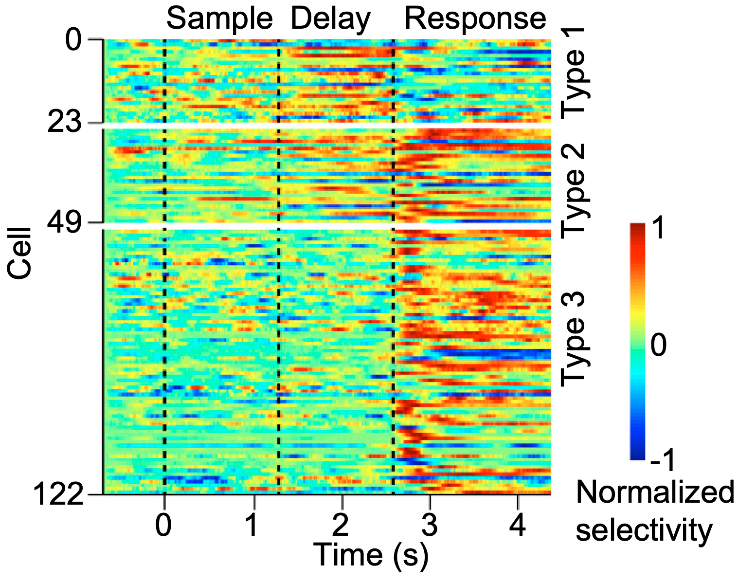 Firing properties of ALM neurons across different task phases, similar to those found in monkeys. From Guo et al., 2014.
