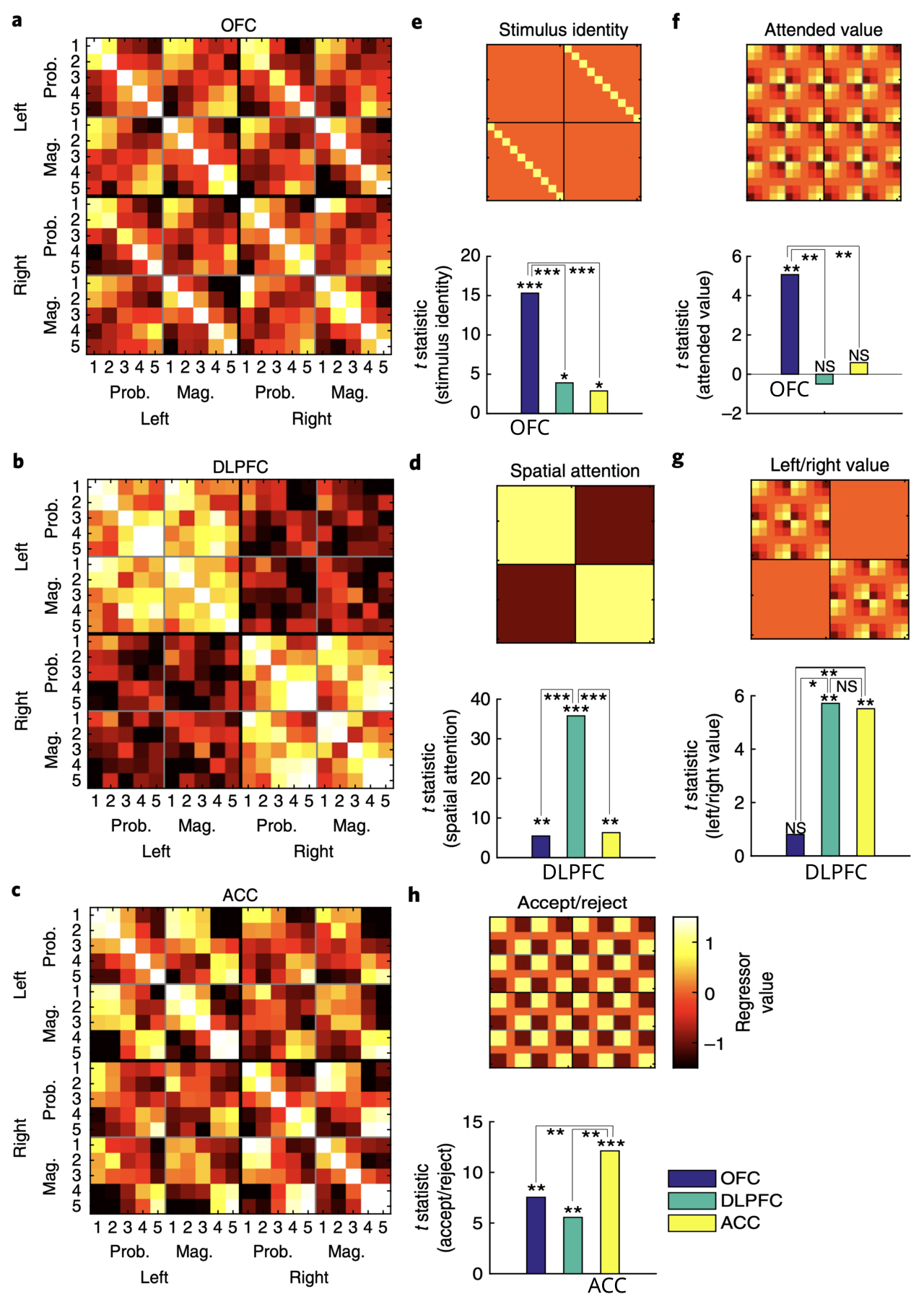 Representational similiarity analysis of OFC (top), DLPFC (middle), and ACC (bottom) population activity in a decision-making task with options on the left or right varying in magnitude and probability (Hunt et al., 2018). OFC neurons clearly encode stimulus identity and the value of the stimulus that the monkey was currently attending, while the other areas do not as shown in the bar graphs under each target regressor. DLPFC selectively encodes spatial attention, while both DLPFC and ACC encode the spatial value, consistent with the response action plan. ACC encodes the correct accept / reject decision based on integrating the total utility of the options. Each of these results is consistent with the functional anatomy shown in prior figures.