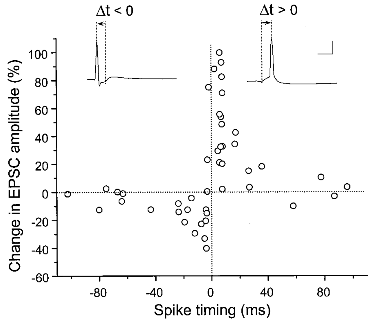 Spike timing dependent plasticity demonstrated in terms of temporal offset of firing of pre and postsynaptic neurons. If post fires after pre (Delta t > 0, right side), then the weights go up, and otherwise (Delta t ≤ 0, left side) they go down. This fits with a causal flow of information from pre to post. Reproduced from Bi and Poo (1998).