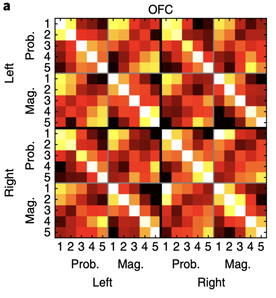 The representational similarity analysis (RSA) similarity matrix plots the similarity metric for activity patterns across different experimental conditions. Each cell is the similarity or distance value for the activity pattern in the condition labeled on the horizontal axis vs. the one on the vertical axis. Often a correlation is used, where 1 is the identity value, and 0 is uncorrelated. A distance metric with increasing distances can also be used. This data is from Hunt et al., 2018.