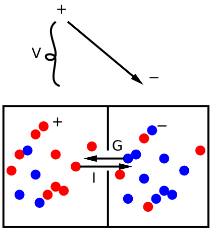 Basic principles of electricity: when there is an imbalance of positive and negative charged ions, these ions will flow so as to cancel out this imbalance. The flow of ions is called a current (I), driven by the potential (level of imbalance) V with the conductance G (e.g., size of the opening between the two chambers) determining how quickly the ions can flow.
