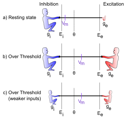 Specific cases in the tug-of-war scenario.