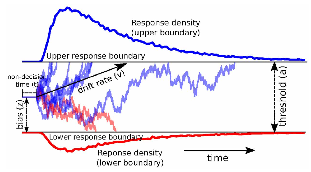 The drift-diffusion model involves an accumulation process that is driven by two force: a systematic drift that reflects the strength of an underlying signal (e.g., how clearly one perceives a stimulus) and a noise (diffusion) process. There are two bounds, upper and lower, and whenever the accumulated value crosses a bound, the decision is counted. The distribution of boundary-crossing times provides a good fit to human and animal reaction times across a wide range of studies.