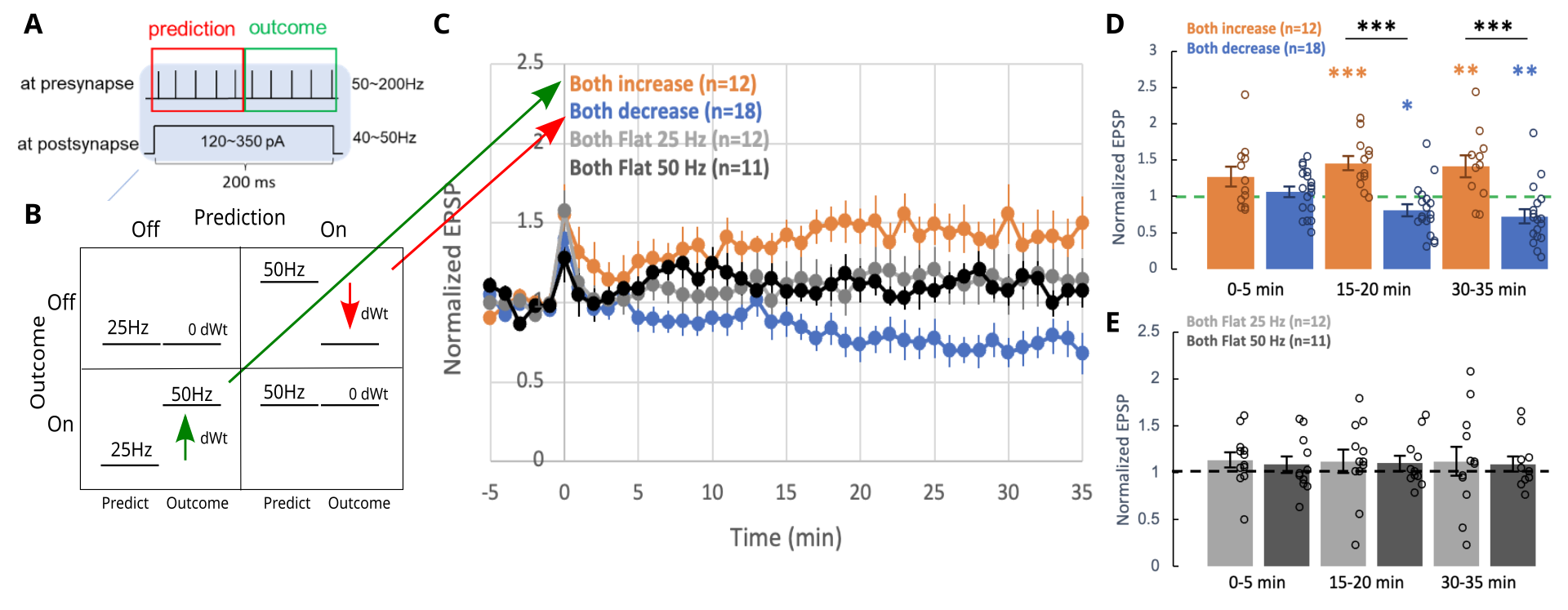 Results from Jang et al. (2026), which are consistent with the predictions of the temporal derivative learning mechanism. A Pre- and postsynaptic neurons were stimulated to either 25 Hz or 50 Hz across the two 100 ms halves (prediction, outcome) of a 200 ms theta cycle. B All 4 cells of the 2x2 combination of prediction, outcome frequencies were tested. C The progression of probe EPSP amplitudes surrounding the stimulation protocol at time 0, showing that the increasing temporal derivative (25 to 50 Hz for both the pre and postsynaptic neurons, in orange) resulted in LTP, while the decreasing temporal derivative (50 to 25 Hz, in blue) resulted in LTD. Both flat profiles (constant 25 Hz or 50 Hz) resulted in no net synaptic efficacy change. D, E Summary showing all cell values (open circles) and averages (bars) for the individual conditions at different times after stimulation, with statistically significant results highlighted with asterisks (** = P < .01, *** = P < .001).