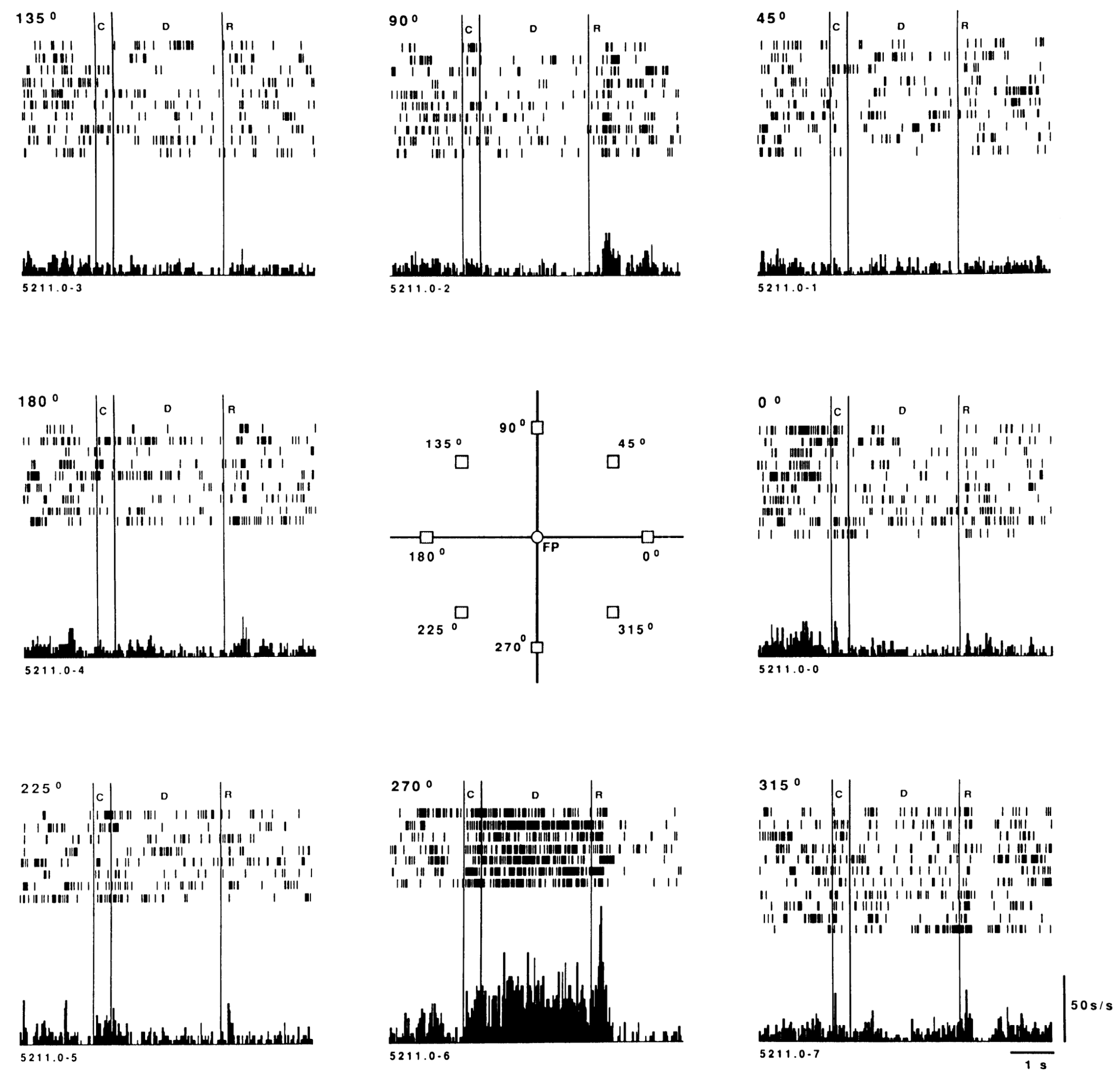Spatially tuned working memory (delay period) activity in PFC neurons recorded during an oculomotor delayed responding task, where monkeys saw one of the 8 different locations briefly cued, but had to maintain their eye fixation on the central fixation point (FP). When the illumination of the FB went out, then they could move their eyes to the cued location, which was maintained over the delay by sustained neural firing as in the example shown here, where the 270 deg location (central bottom) was cued. From Funahashi et al., 1989.