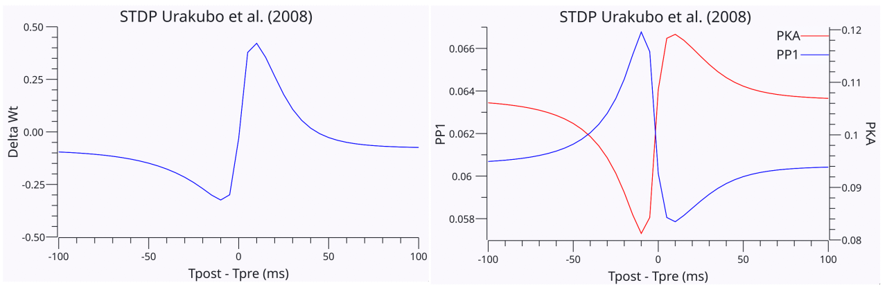 The Urakubo et al. (2008) model also replicates the STDP results of Bi and Poo (1998) using the standard protocol of single pairwise spikes at 1s intervals. Obtaining this behavior from the model required modifying the effective decay (inactivation) constant of the NMDA channels, so that glutamate binding from presynaptic release (i.e., pre before post, in the causal direction) resulted in a significant reduction in the rate of inactivation relative to glutamate unbound NMDA channels. Thus, the pre-before post direction (right side of curve) had much higher levels of Ca++ influx due to the longer open time of the NMDA channels. The resulting level of Ca++ influx and CaM activation mirrored the Delta-Wt learning curve shown in the first panel. Consistent with earlier figures, PP1 drives LTD for post-before-pre timings (left side of the curve), but CaMKII and PKA dominate on the pre-then-post side.
