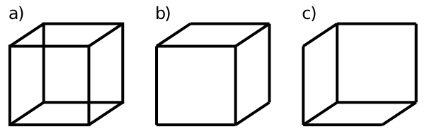 The Necker Cube