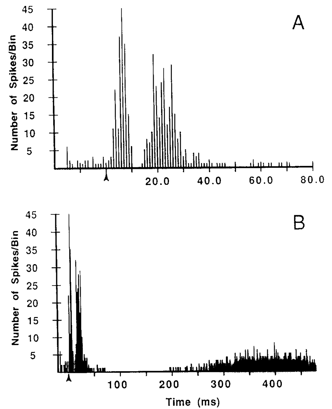 Neural recordings from STN neurons, showing two initial bursts of activity followed by a long period of inhibition, which then recovers. The top panel shows a finer time-scale zoom-in of the two initial bursts, while the bottom panel shows a longer time-scale window of inhibition, of roughly 150 ms. From Fujimoto & Kita, 1993