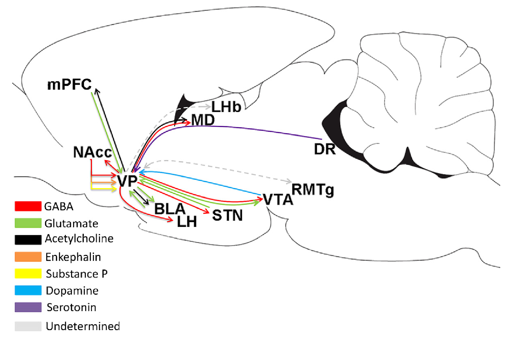 Connectivity of the ventral pallidum (VP), which has a diverse set of cell types with multiple different neurotransmitters as shown, and sends outputs to all the major motivational / affective / neuromodulatory brain areas. NAcc = nucleus accumbens (ventomedial striatum); BLA = basolateral amygdala; LH = lateral hypothalamus; VTA = ventral tegmental area (dopamine); MD = mediodorsal thalamus, which then projects extensively to ventral and medial prefrontal cortex (v/mPFC); LHb = lateral habenula; DR = dorsal raphe (serotonin). Figure from Root et al., 2015.