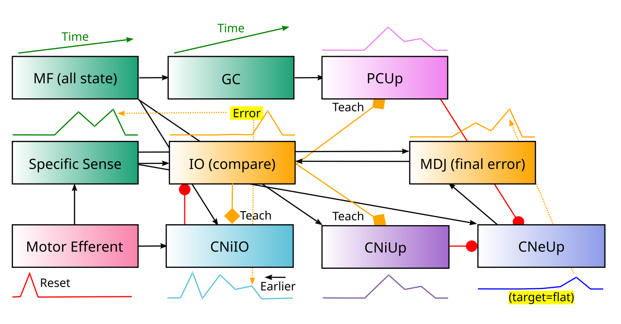 The mesodiencephalic junction (MDJ) nuclei receive excitation from CNeUp and project into the IO, so that IO error signals are also sensitive to this final output.Compare this figure with the adaptive filtering figure shown earlier.
